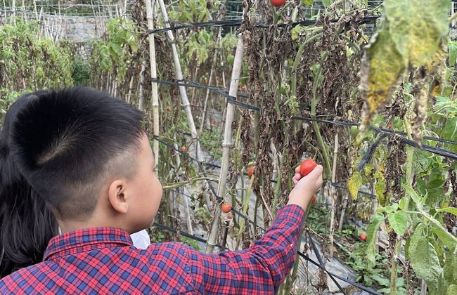 Farmstay Ban Bua - Foto 26