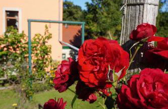 Ferienwohnung Ufer - Urlaub in der Sächsischen Schweiz - Foto 47