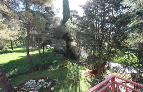 Apartment Clementina - Photo 21