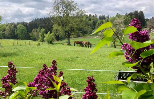 Pfaffensteghof - Foto 28