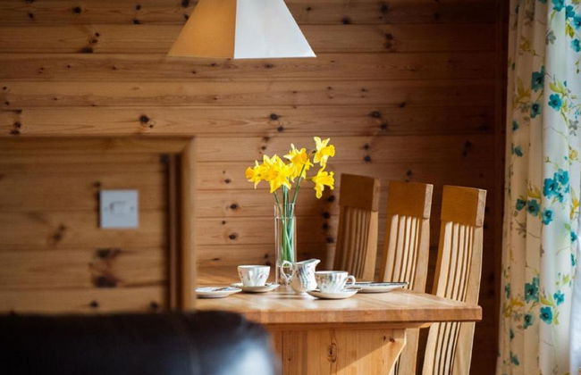 Achmony Number 7 - Foto 13