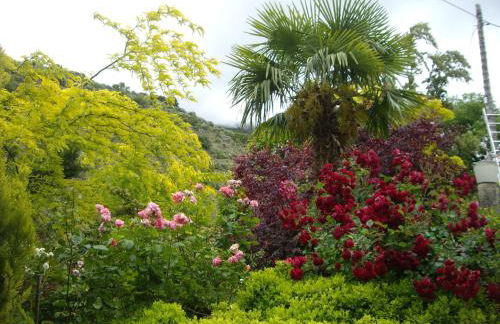 La Casita con piscina privada de tres dormitorios - Photo 77