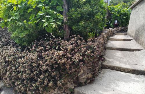 Apartments Nevija - Foto 34