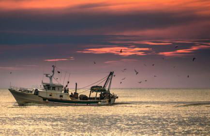 La Casetta del Viaggiatore - "Traveller's Home" - Foto 31