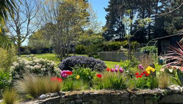 Appartement Océane - Photo 3