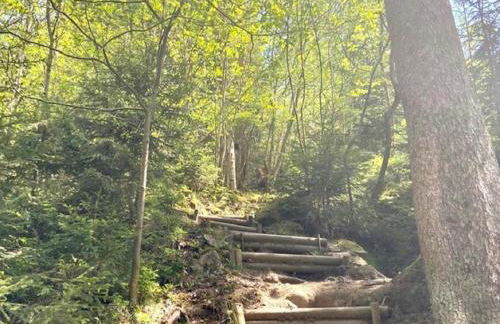 Ferienwohnung Vogel - Foto 15