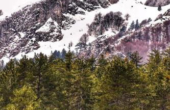 La maisonnette - Foto 30