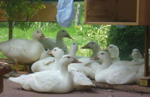 Il Granaio Grande - Foto 29