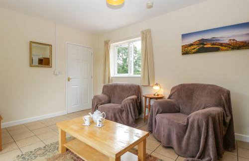 The Turbles - Wagtail - Foto 6