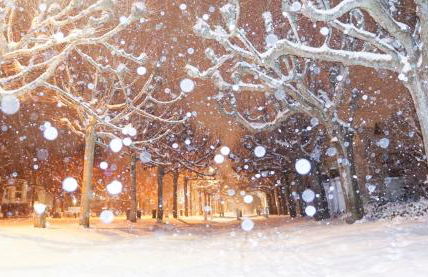 Apartment Kaiserperle mit Balkon direkt am Strand - Foto 42