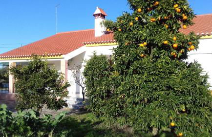 Tapada da Beirã - Foto 7