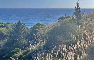 Royal Villa - Ocean View - Heated Pools - SEASCAPE'S BEST 1 BEDROOM - 3 BEDS - End Unit - Foto 53