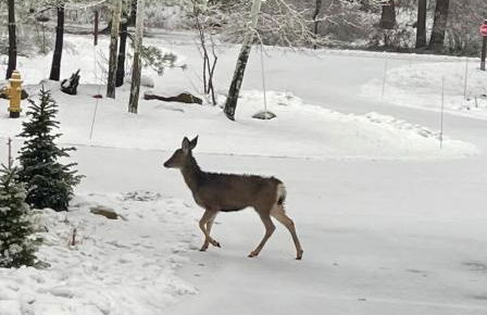 Serenity on 13 Suncadia-luxury 4bd ensuite spa retreat with Sauna, Steam Shower, Jacuzzi, Hot tub, Fire Pit & on-site EV chg - Foto 37