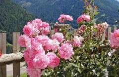 Villetta Muncion - Foto 15