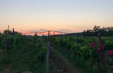 Cardo Boutique&Wine Resort - Foto 21