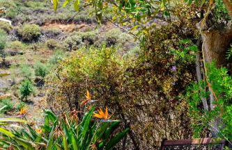 Tizziri rural - Foto 4