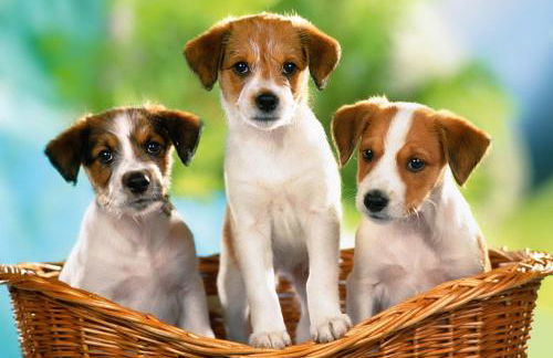 Villetta Cati - Casa Vacanze con giardino e posto auto a San Foca - Lecce - Salento - Foto 47