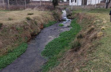 Apartman Jakov - Foto 23