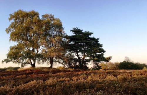 Fachwerk-Ferienhaus, Ruhe auf dem Land, Haustiere willkommen, Leihfahrräder, 24-7 check in - Foto 47