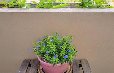 Regatta - A lakeview apartment in Thorpeness - Aldeburgh Coastal Cottages - Photo 13