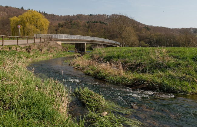 Ferienhaus in Amelgatzen mit Terrasse - Foto 38