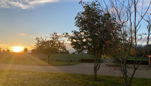 The Oaks Stable cottage - Foto 5