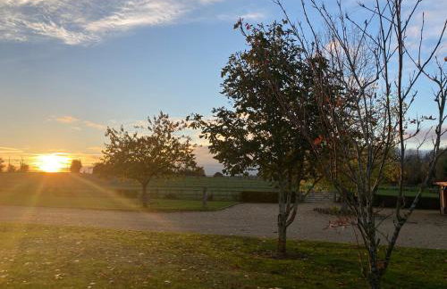 The Oaks Stable cottage - Foto 5