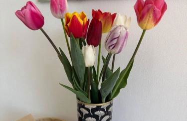 Residenza Alloro - Foto 7