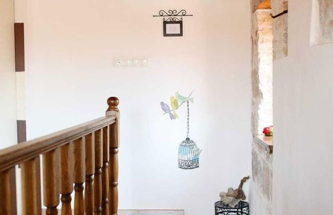 Apartments Zecic - Foto 10