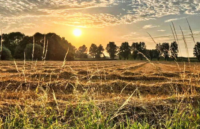 Rustic Retreat w/ Pool - Photo 38