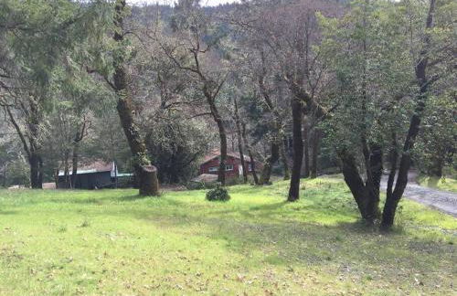 Avenue of the Giants Caraway Cottage (#3) - Foto 29