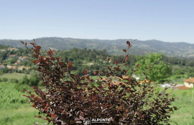 Quinta da Costeira - Casa Azul do Limoal - Foto 34