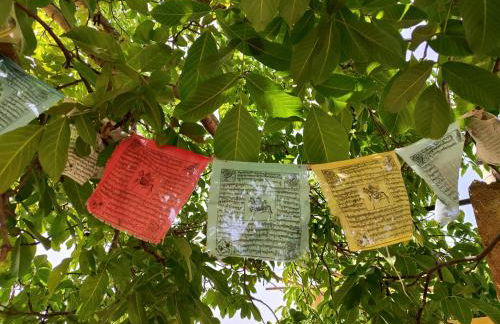 La Huerta del Parral - Foto 13