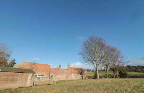 Cherry Studio - Foto 21