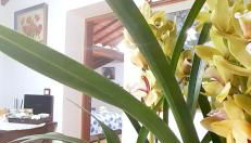 Mansarda degli Ulivi - Photo 2