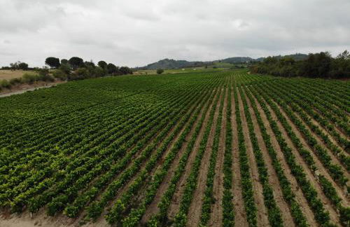 Domaine Fontgrande Gîte - Photo 29