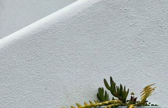 Casa con vista a Ischia - Foto 9