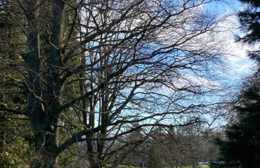 Gleneagles Luxury Apartment - Photo 16