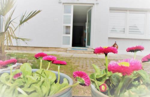 Ferienwohnung Morgentau - Photo 3