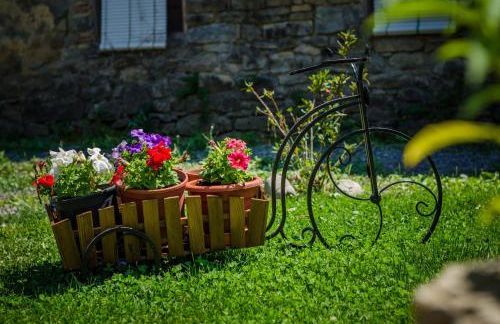 Borda Fuertes - Photo 50