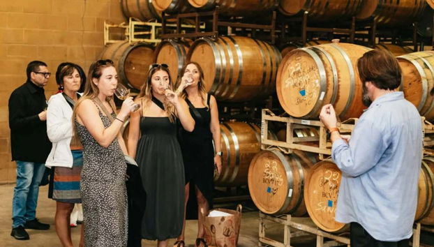 Napa & Sonoma Valley Wine Tour - Photo 3, Tour the grounds