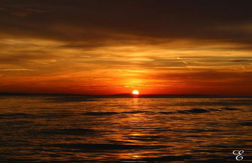 Bio-Ferienwohnung Ellensohn - Foto 18