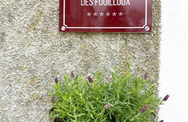 Chateau des Fouilloux - Guest House - Foto 2