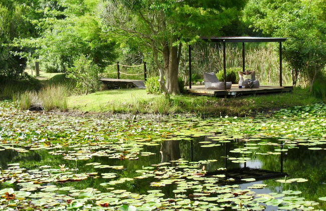 Lily Pond Country Lodge - Foto 45