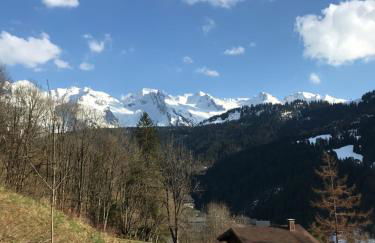 La marmotte qui papote - Photo 48