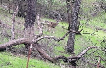 Vita Amorosa - Foto 24