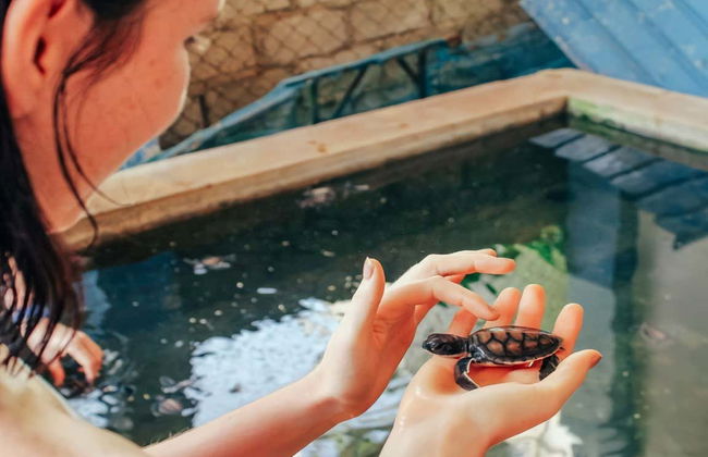 Alquiler de coche con conductor en Colombo - Foto 5