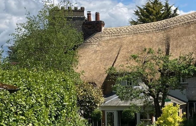 Idyllic Historic Thatched Cottage Hardy's Dorset - Foto 23