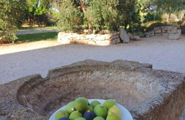 Masseria Giustiniani - Foto 59