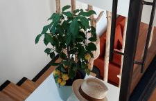 Le Bois Flotté - Maison au cœur de la Loire entre ville et nature - Foto 16